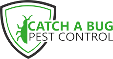 Catch A Bug