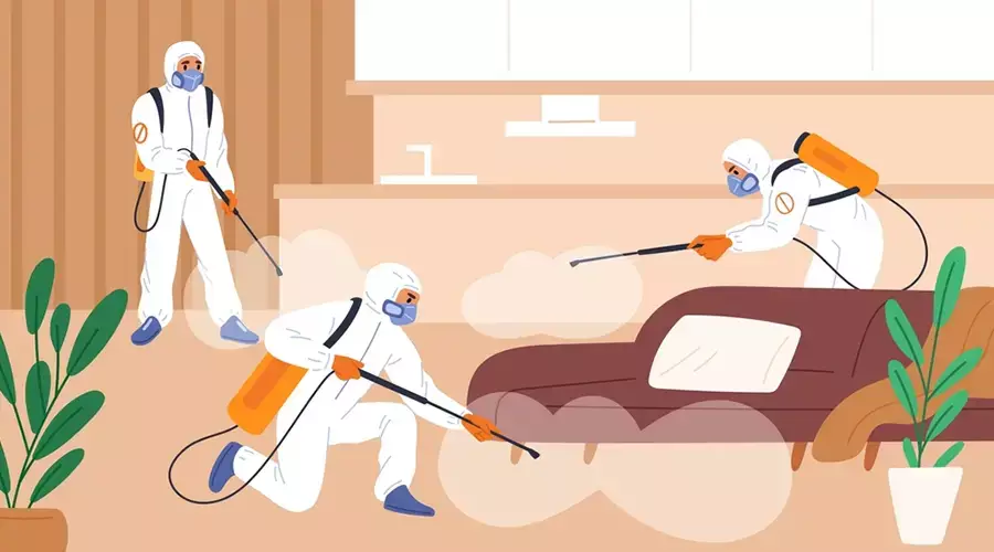 Pest Prevention Tips Every Melbourne Resident Should Know