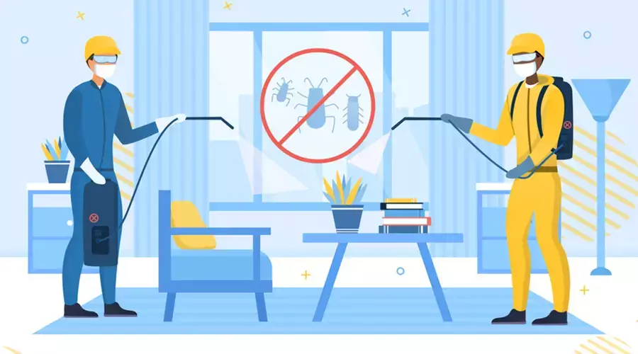 Natural Pest Control Remedies What Works and What Doesn’t In Melbourne