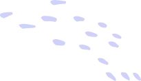 Fly Control in Food Processing Plants 5 shape 08 2