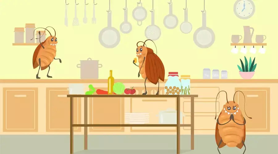 Hidden Spots in Your Home That Attract Pests How to Keep Them Out Melbourne