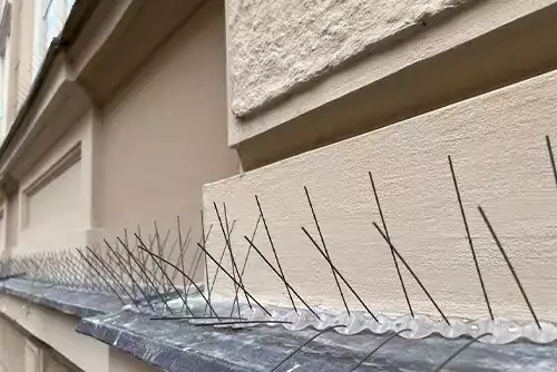 Bird Deterrent Systems for Industrial Buildings 2 Bird Deterrent Systems for Industrial Buildings
