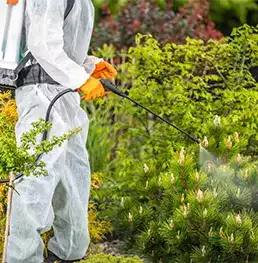 Catch A Bug 43 Can I get a quote before booking for Pest Control Melbourne