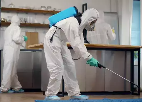 Commercial Pest Control Services Melbourne