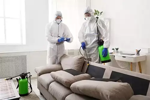 End of Lease Pest Treatment 2 End of Lease Pest Treatment Melbourne