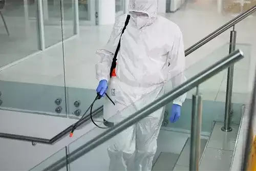 General Pest Management for Businesses