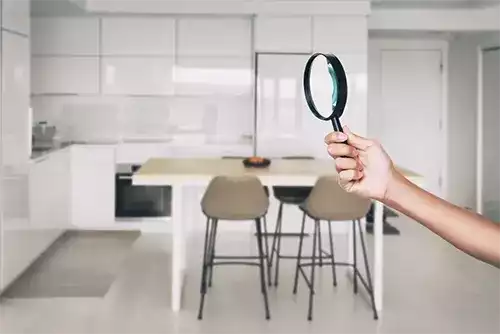 Pre-Purchase Pest Inspection 2 Pre Purchase Pest Inspection