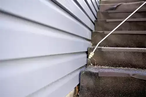 Rodent Control for Commercial Properties 2 Rodent Control for Commercial Properties