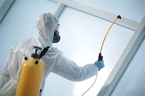 Sanitation & Structural Consulting for Pest Prevention 2 Sanitation Structural Consulting for Pest Prevention