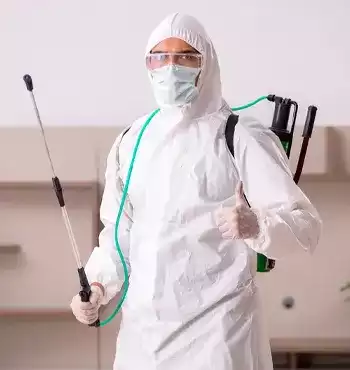 Catch A Bug 21 Why Catch A Bug Pest Control Melbourne