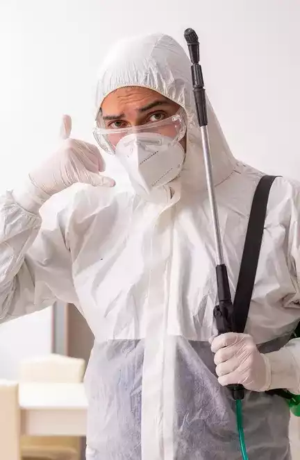 Catch A Bug 5 Your Pest Problem Stops Here Catch Bug Melbourne